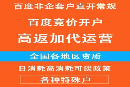百度竞价策略：如何快速实现盈利的案例