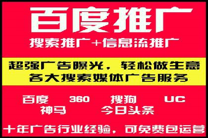 SEM代运营机构成功案例：优化策略与效果分析